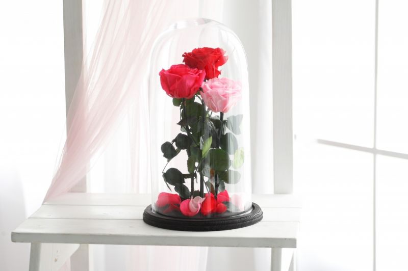 Роза в колбе - Красная, Розовая, Малиновая - Кинг