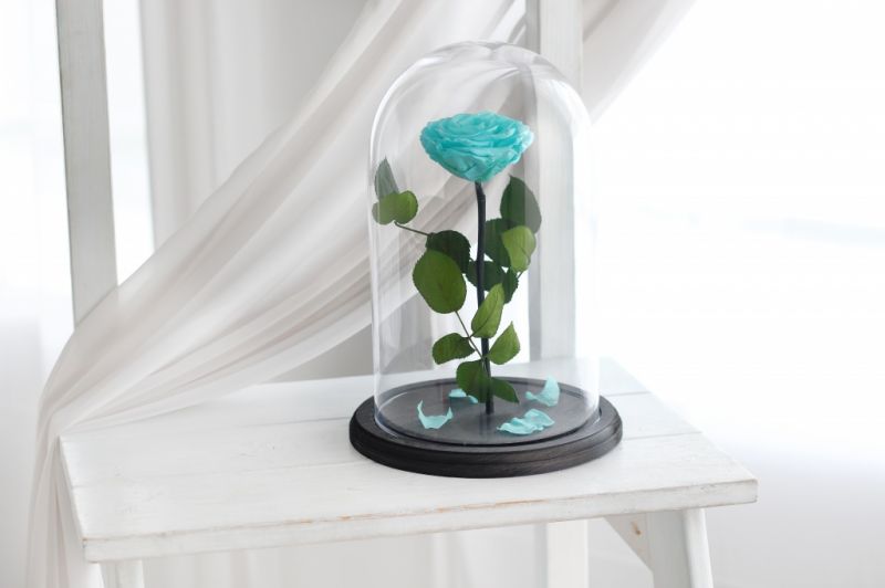 Роза в колбе - Мятная Tiffany - Премиум 