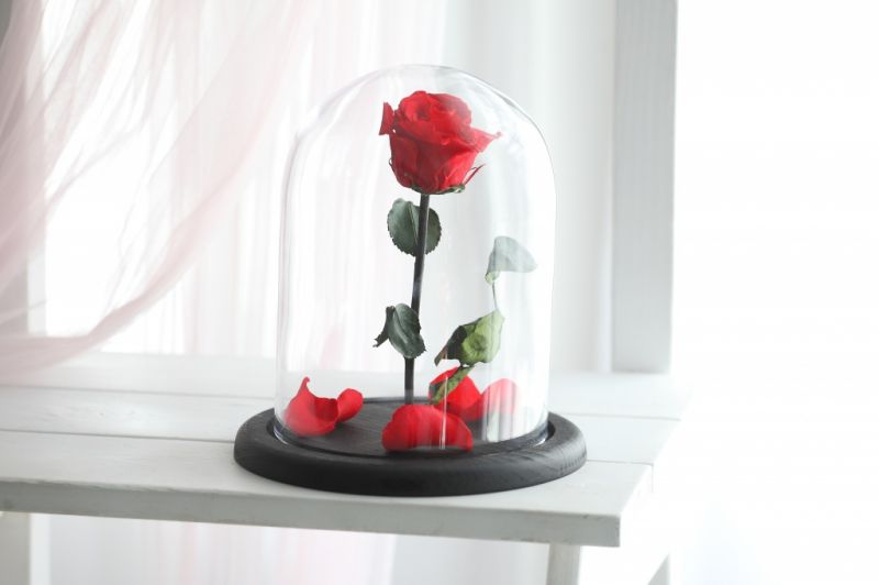 Роза в колбе - Алая - Стандарт