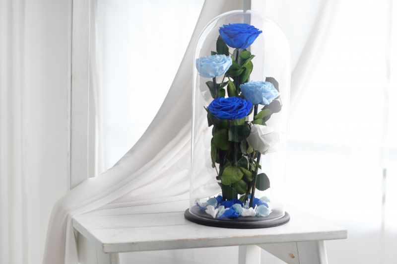 Роза в колбе - Синяя, Голубая, Белая - Royal