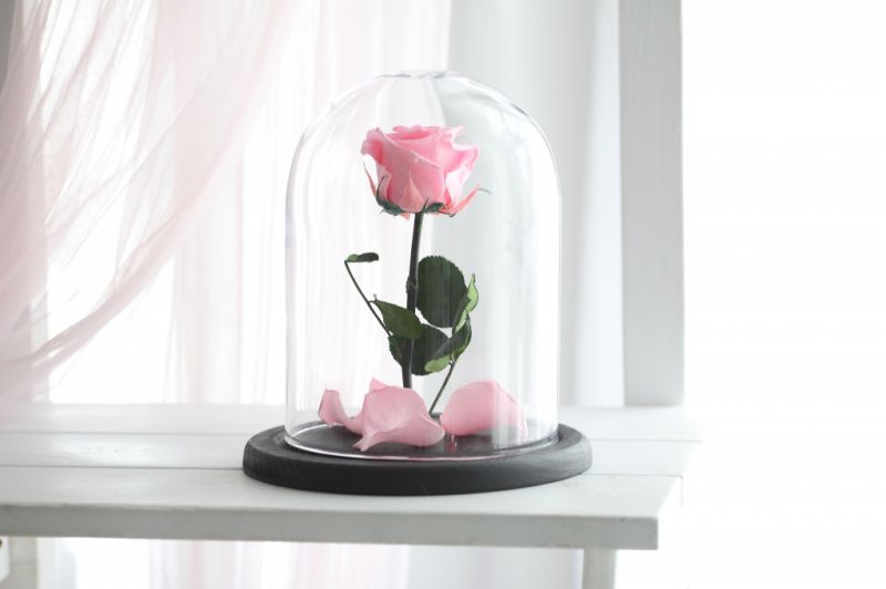 Роза в колбе - Розовая - Стандарт