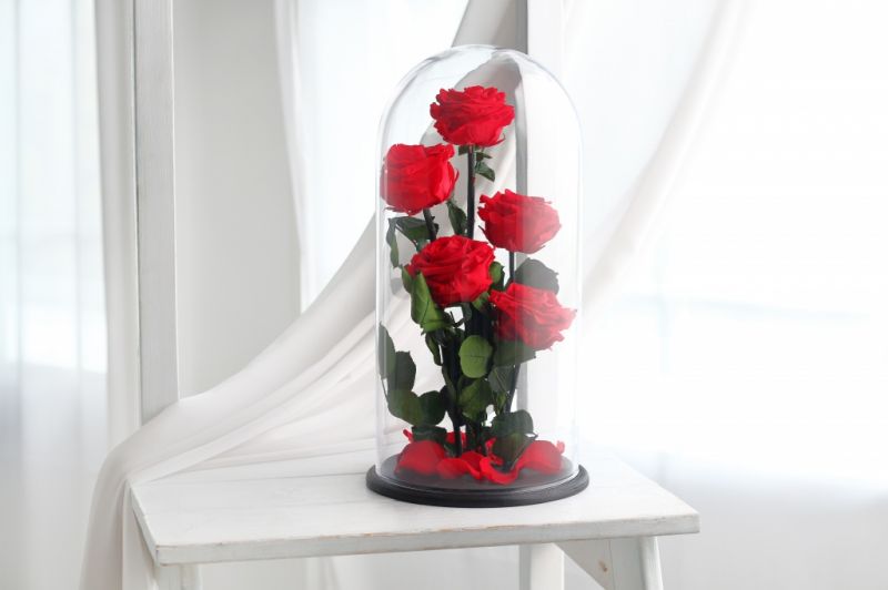 Роза в колбе - Алая - Royal