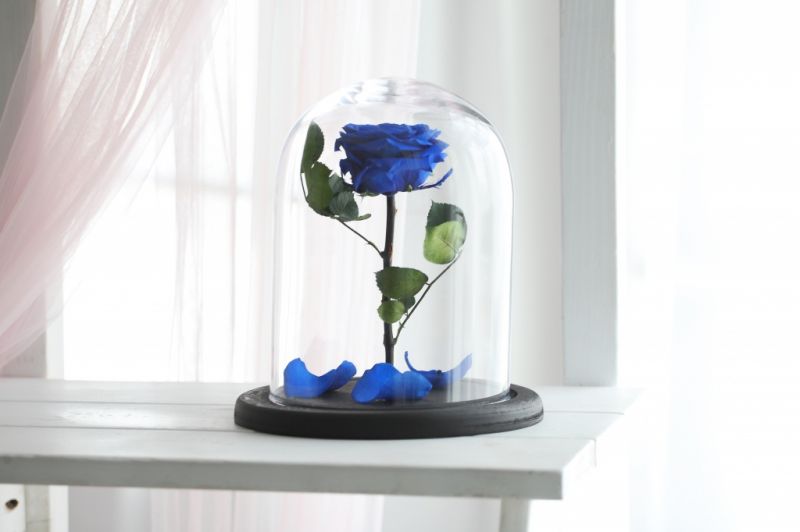 Роза в колбе - Синяя - Стандарт