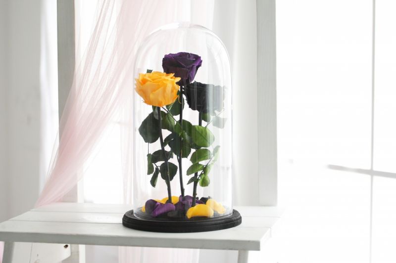 Роза в колбе - Черная, Фиолетовая, Желтая - Кинг