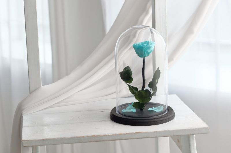 Роза в колбе - Мятная Tiffany - Стандарт