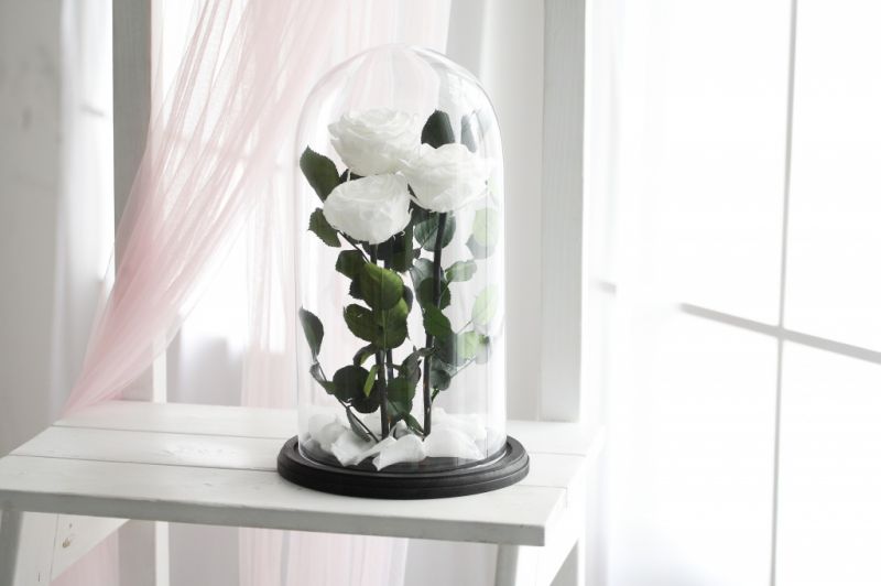 Роза в колбе - Белая - Кинг