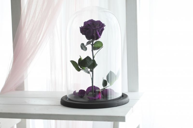 Роза в колбе - Фиолетовая - Премиум