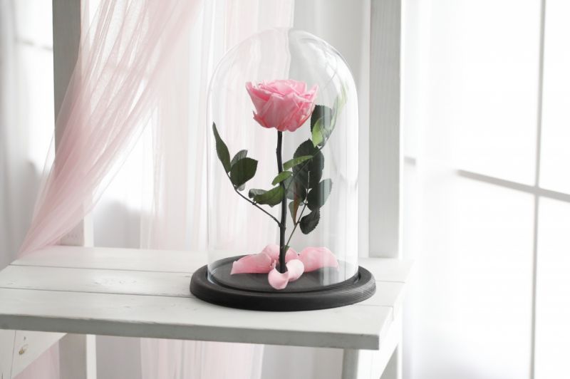 Роза в колбе - Розовая - Премиум