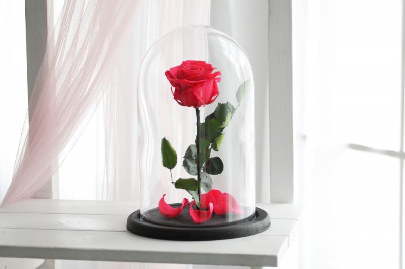 Роза в колбе - Малиновая - Премиум