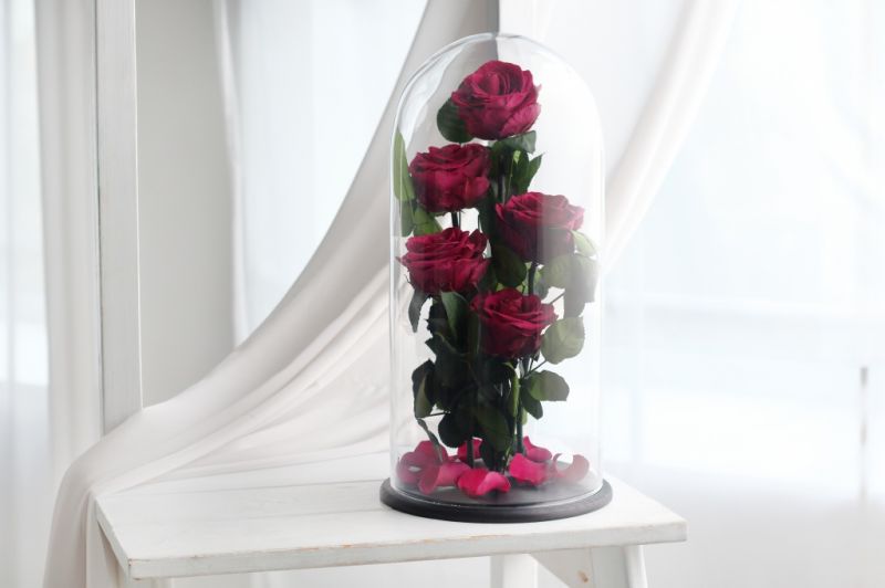 Роза в колбе - Фиолетовая - Royal