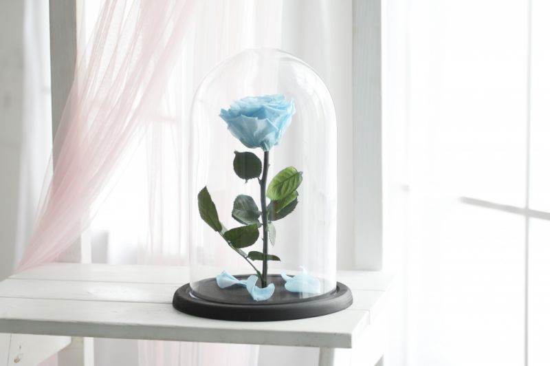 Роза в колбе - Голубая - Премиум