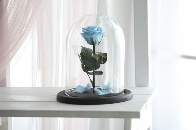 Роза в колбе - Голубая - Стандарт