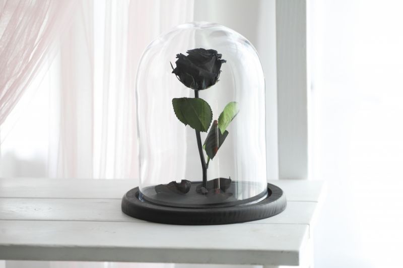 Роза в колбе - Черная - Стандарт
