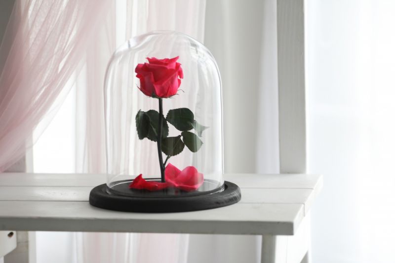 Роза в колбе - Малиновая - Стандарт