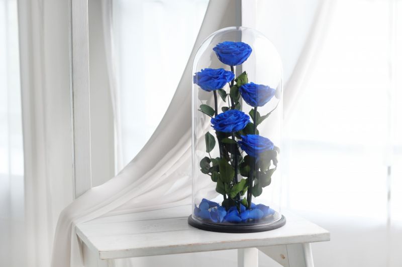 Роза в колбе - Синяя - Royal