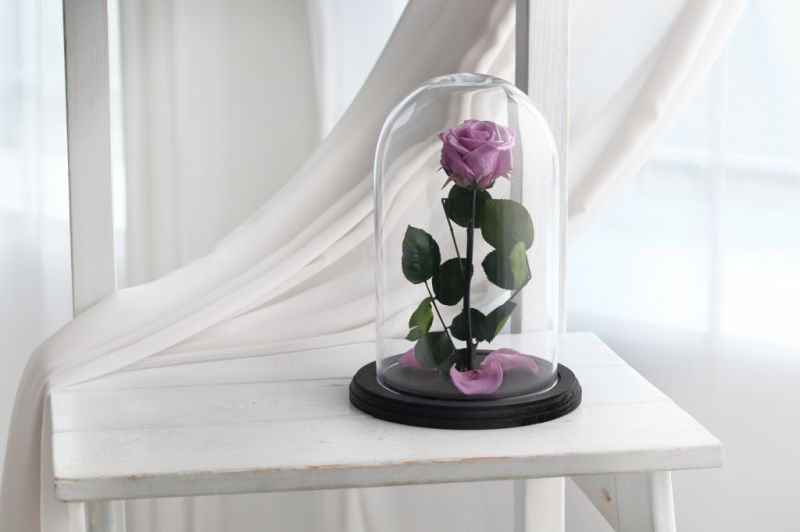 Роза в колбе - Лиловая - Стандарт